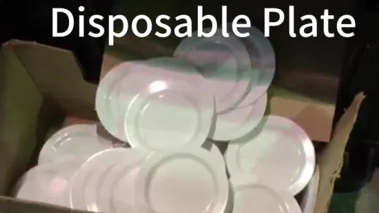 Molde de placa de talheres PS de alta velocidade para moldagem por injeção de plástico personalizado na China